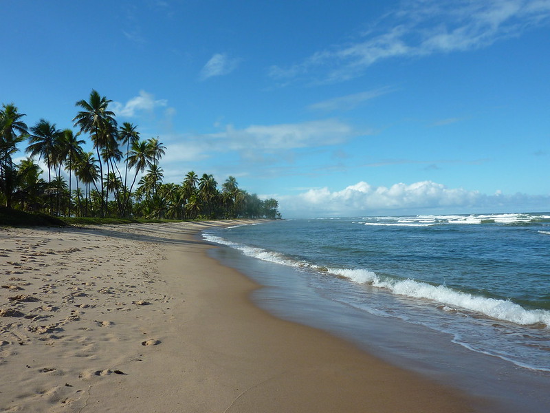 Praia do Forte Beach