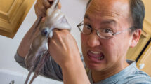 A man with glasses looks surprised and makes a humorous expression while holding a raw octopus in the kitchen. The octopus appears to be squirming in his hand