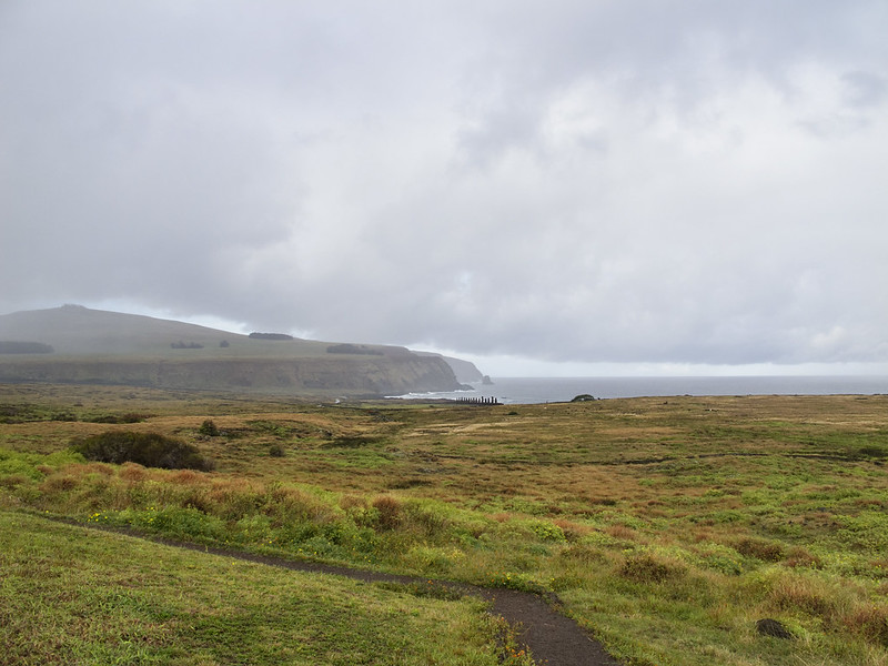 A cloudy landscape of grasslands on Easter Island, with a distant coastline and a row of Moai statues near the shore, illustrating the island’s barren, treeless environment.
