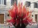 A vibrant glass sculpture in Murano, Italy, with red, orange, and yellow glass spikes resembling flames in front of a traditional Venetian building.