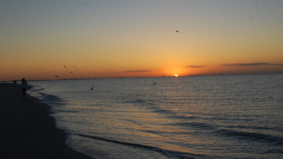 Sunset on a beach with gentle waves, silhouetted birds flying, and people walking along the shoreline. A distant city skyline is visible on the horizon under the orange and golden glow of the setting sun.