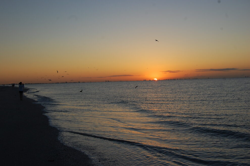 Sunset on a beach with gentle waves, silhouetted birds flying, and people walking along the shoreline. A distant city skyline is visible on the horizon under the orange and golden glow of the setting sun.