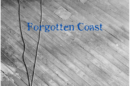 Black-and-white image of wooden floorboards with a coiled cord. Blue text reads "Forgotten Coast," with the names "James McMurtry" and "Complicated Game" at the bottom.