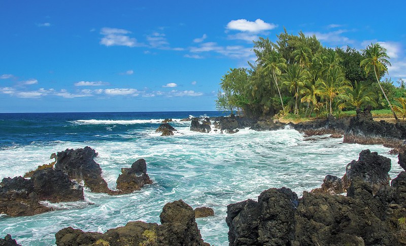 A tropical island coastline with crashing ocean waves, black volcanic rocks, and lush palm trees under a bright blue sky.
